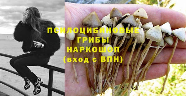 спиды Куйбышев