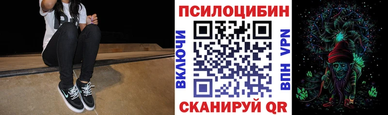 OMG ONION Новотитаровская Галлюциногенные грибы Psilocybine cubensis